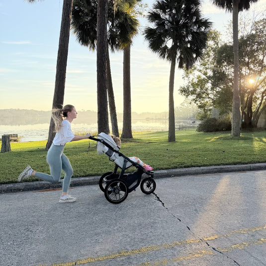 UPPAbaby Ridge V2 All-Terrain Stroller (Coming Soon!)