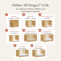 Babyletto Palma 8-in-1 Convertible All-Stages Crib with Bassinet & Toddler Bed Kit
