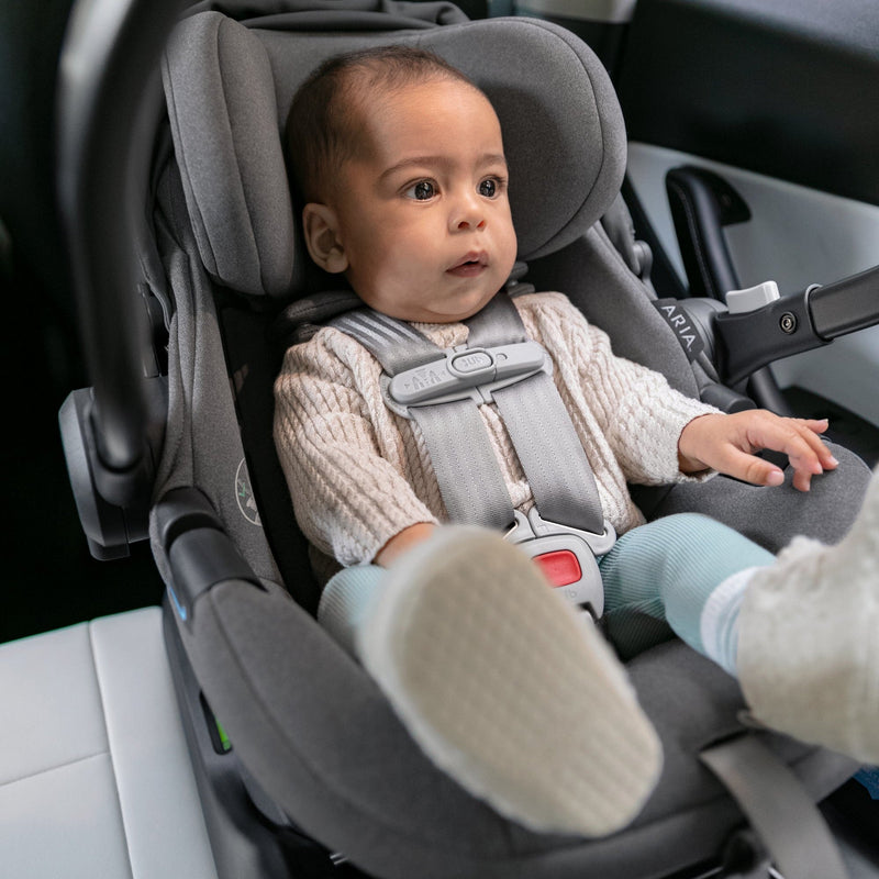 Load image into Gallery viewer, UPPAbaby Aria Lightweight Infant Car Seat
