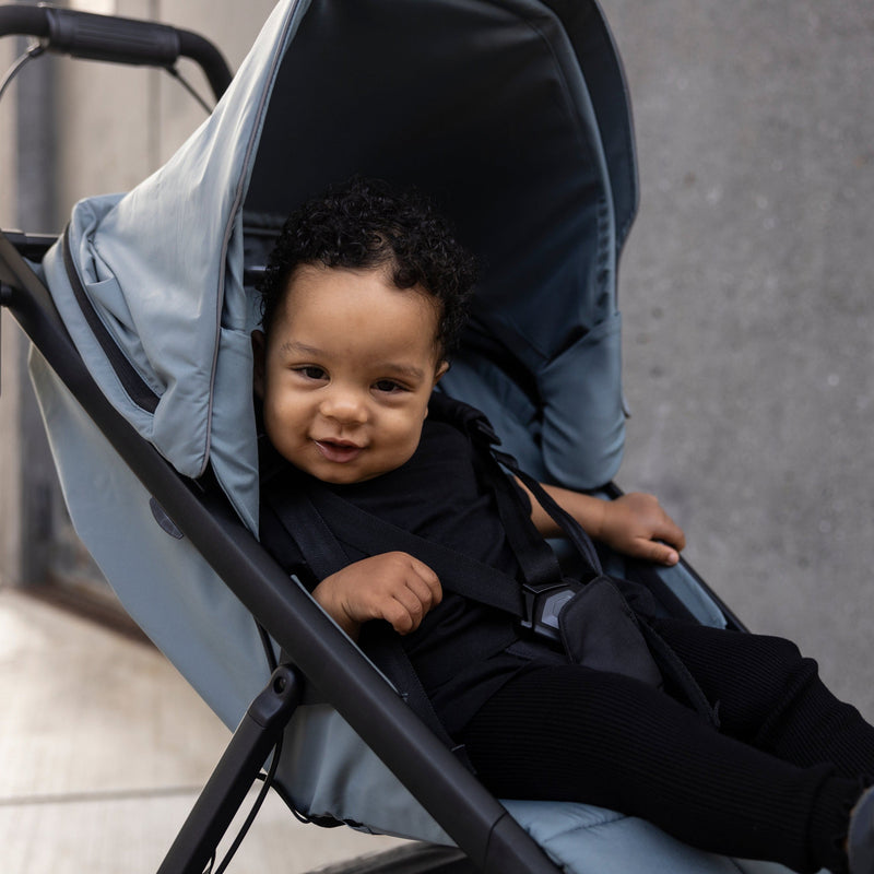 Load image into Gallery viewer, Thule Urban Glide 3 Stroller
