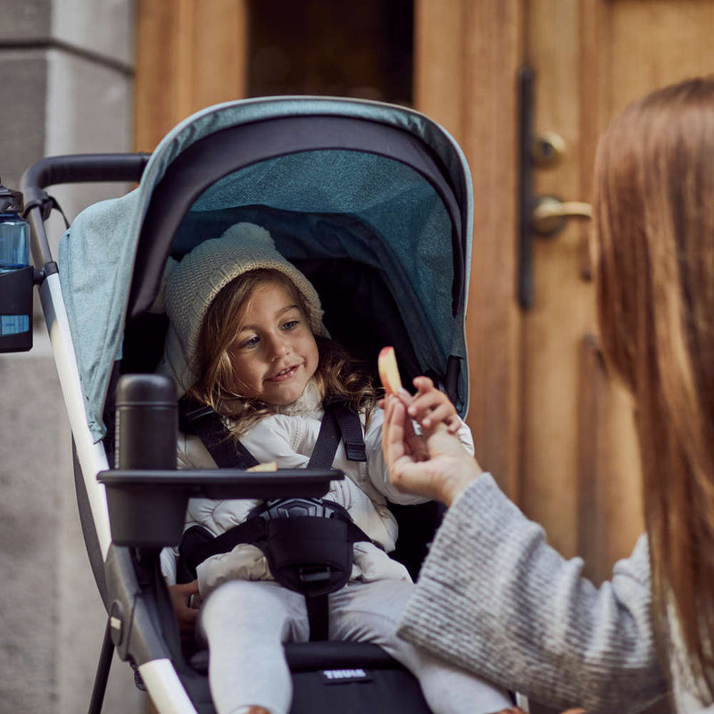 Load image into Gallery viewer, Thule Spring Stroller
