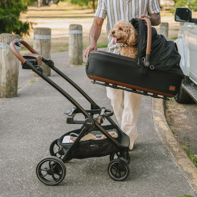 Load image into Gallery viewer, Tavo Maeve + Roscoe 3-in-1 Pet Protection System
