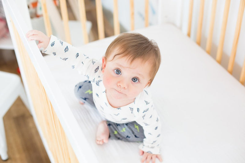 Load image into Gallery viewer, babyletto Pure Core Non-Toxic Crib Mattress with Hybrid Waterproof Cover
